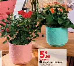 Hyper U Plantes fleuries offre