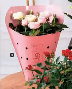 Hyper U Rosier tricolore offre