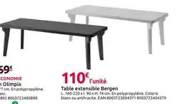 Mr Bricolage Table extensible Bergen offre
