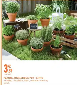 Intermarché Express Plante aromatique pot 1 litre offre