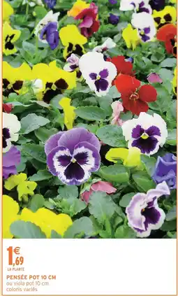 Intermarché Express Pensée pot 10 cm offre