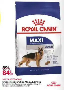 Mr Bricolage ROYAL CANIN Croquettes pour chien Maxi Adult offre