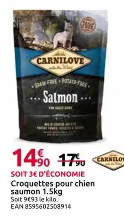 Mr Bricolage CARNILOVE Croquettes pour chien saumon offre