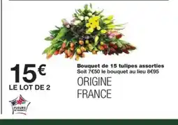 Monop' Bouquet de 15 tulipes assorties offre