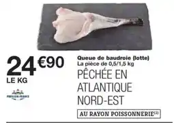 Monop' Queue de baudroie (lotte) offre