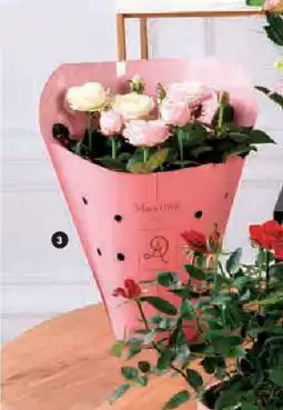 Super U Rosier tricolore offre