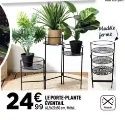 Centrakor Le porte-plante éventail offre