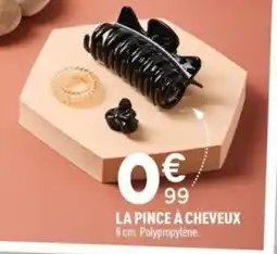 Centrakor La pince à cheveux offre
