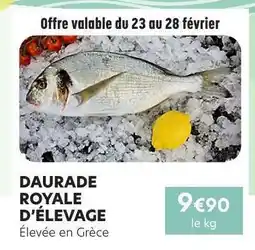 E.Leclerc DAURADE ROYALE D'ÉLEVAGE offre