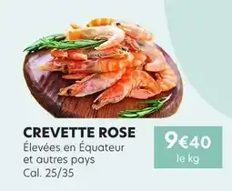 E.Leclerc CREVETTE ROSE offre
