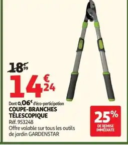 Auchan Coupe-branches télescopique offre