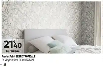 Bricorama Papier Peint Serre Tropicale offre