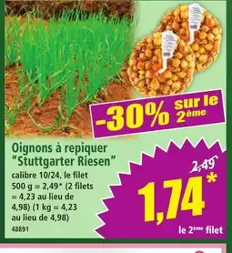 Norma Oignons à repiquer Stuttgarter Riesen offre