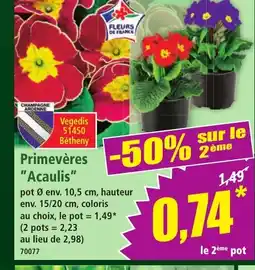 Norma Primevères Acaulis offre