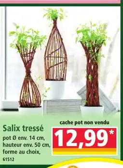 Norma Salix tressé offre