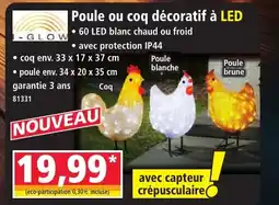Norma I-GLOW Poule ou coq décoratif à LED offre