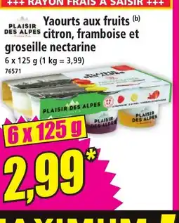 Norma PLAISIR DES ALPES Yaourts aux fruits citron, framboise et groseille nectarine offre
