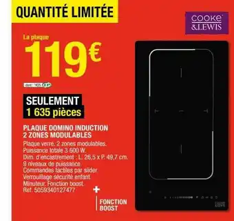 Brico Dépôt Plaque Domino Induction 2 Zones Modulables Cooke & Lewis offre