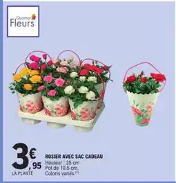 E.Leclerc ROSIER AVEC SAC CADEAU offre