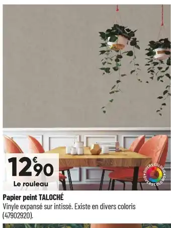 Bricorama Papier peint Taloché offre