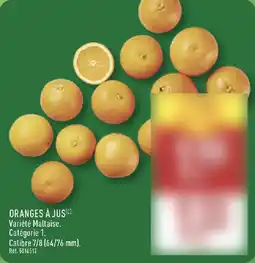 ALDI Oranges à jus offre