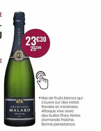 Nicolas Champagne Malard offre