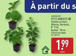 ALDI Gardenline petit arbuste offre