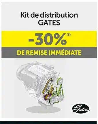 Roady Kit De Distribution Gates offre