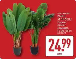 ALDI Home creation plante artificielle offre