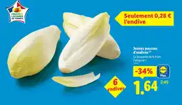 Lidl Jeunes pousses d'endives offre