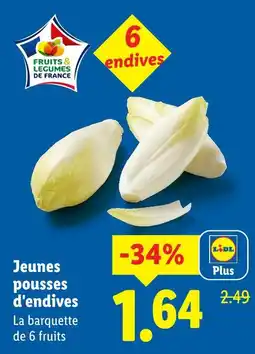 Lidl Jeunes pousses d'endives offre