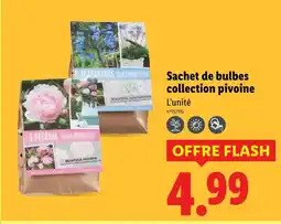 Lidl Sachet de bulbes collection pivoine offre