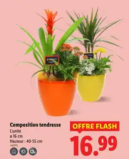 Lidl Composition tendresse offre