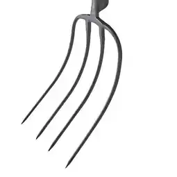 Gamm vert Invivo nous on sème fourche à fumier 4 dents 30 cm offre