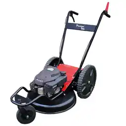 Gamm vert Tondeuse débroussailleuse thermique pampa 55p offre