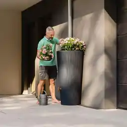 Gamm vert Récupérateur d'eau 2 en 1 linus 220 l offre