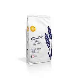 Gamm vert Blé entier trié offre