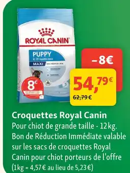 Maxi Zoo Royal canin croquettes offre