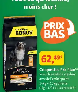 Maxi Zoo Pro plan croquettes offre