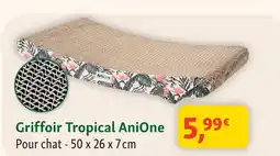 Maxi Zoo Anione griffoir tropical offre