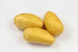 Gamm vert Pomme de terre charlotte offre