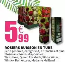 E.Leclerc Rosiers buisson en tube offre