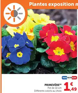 Bi1 Primevère offre