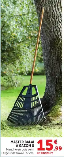 Bi1 Master balai à gazon u offre