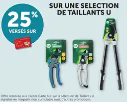 Bi1 SUR UNE SELECTION DE TAILLANTS U offre