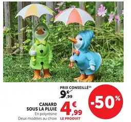 Bi1 Canard sous la pluie offre
