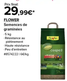 Costco Flower semences de graminées offre