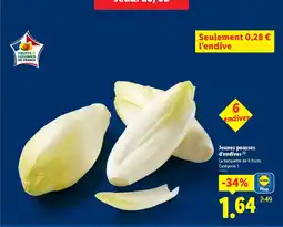 Lidl Jeunes pousses d'endives offre