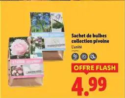 Lidl Sachet de bulbes collection pivoine offre