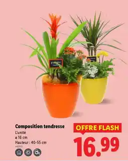 Lidl Composition tendresse offre